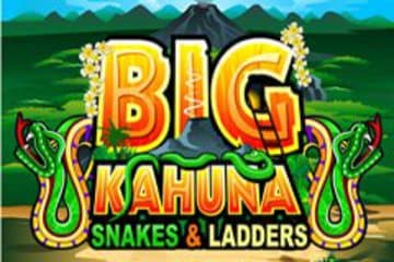 Big Kahuna Snakes & Ladders фото; Big Kahuna Snakes & Ladders фото на plussloto.com