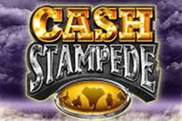 Cash Stampede фото; Cash Stampede фото на plussloto.com