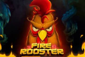 Fire Rooster фото; Fire Rooster фото на plussloto.com