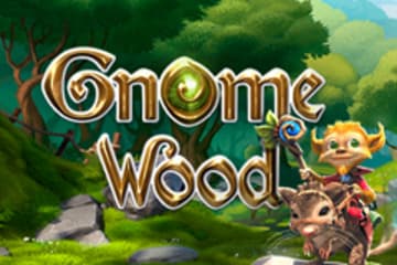 Gnome Wood Slot
