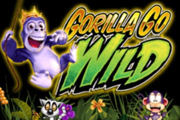 Gorilla Go Wild Video