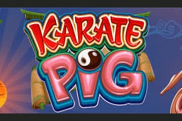 Karate Pig Slot