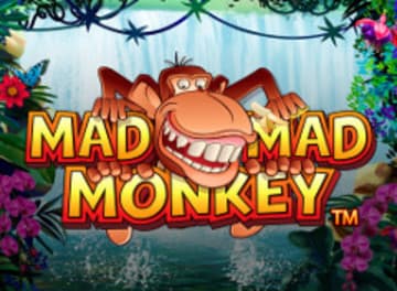 Mad Mad Monkey фото; Mad Mad Monkey фото на plussloto.com