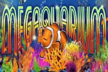 Megaquarium фото; Megaquarium фото на plussloto.com