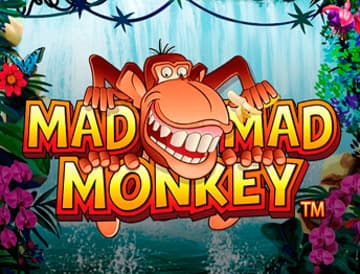 Money Mad Monkey