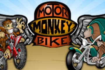 Motorbike Monkey фото; Motorbike Monkey фото на plussloto.com