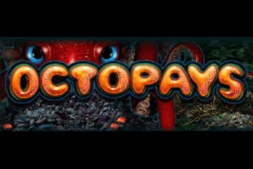 Octopays фото; Octopays фото на plussloto.com