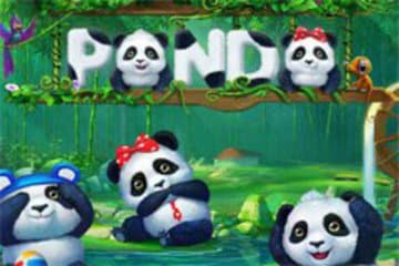 Panda Slot фото; Panda Slot фото на plussloto.com