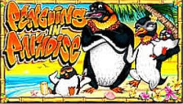 Penguins in Paradise фото; Penguins in Paradise фото на plussloto.com