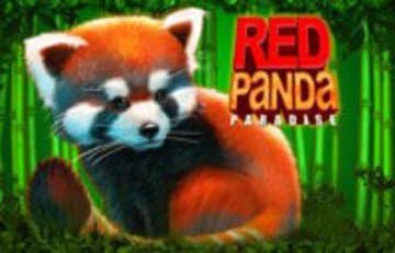 Red Panda Paradise фото; Red Panda Paradise фото на plussloto.com