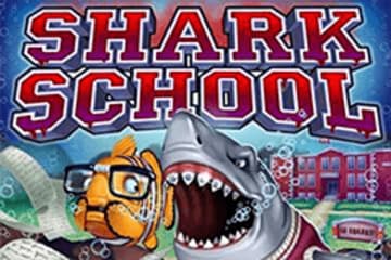 Shark School фото; Shark School фото на plussloto.com