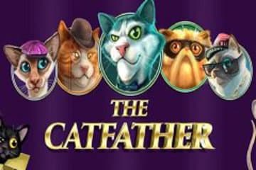 The Catfather фото; The Catfather фото на plussloto.com