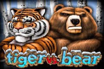 Tiger vs Bear