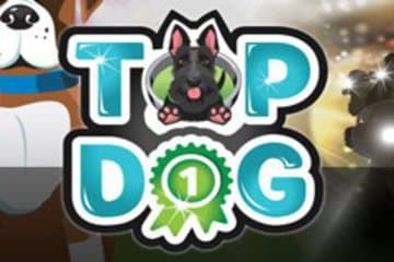 Top Dog фото; Top Dog фото на plussloto.com