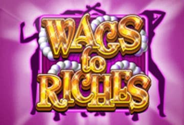 Wags To Riches