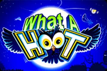 What a Hoot фото; What a Hoot фото на plussloto.com