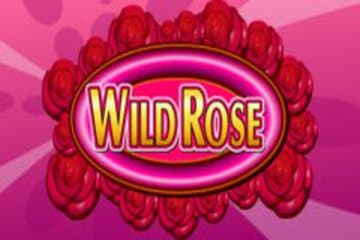 Wild Rose Slot