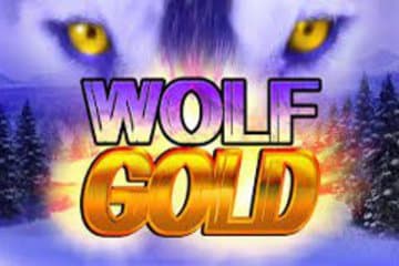 Wolf Gold Slot