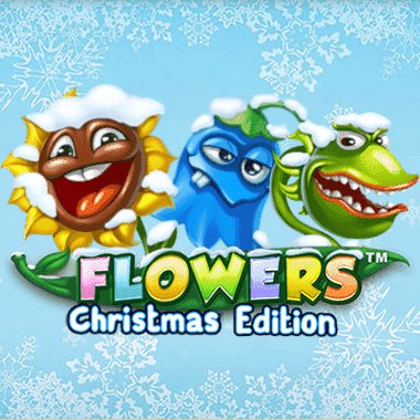 Flowers Christmas Edition фото; Flowers Christmas Edition фото на plussloto.com